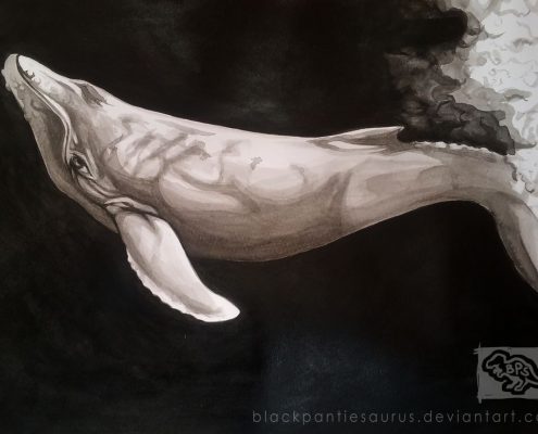 inktober__4___humpback_whale_by_pantiesaurus_dbpkohm-fullview