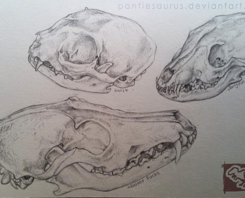 skulls_by_pantiesaurus_dcjy9oh-fullview